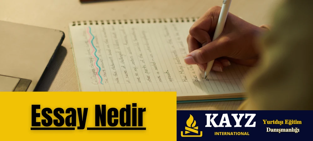 Essay Nedir Essay Nedir