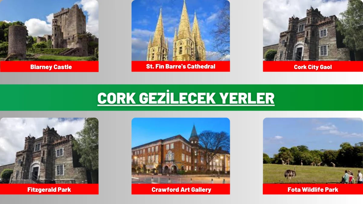 Cork Gezilecek Yerler