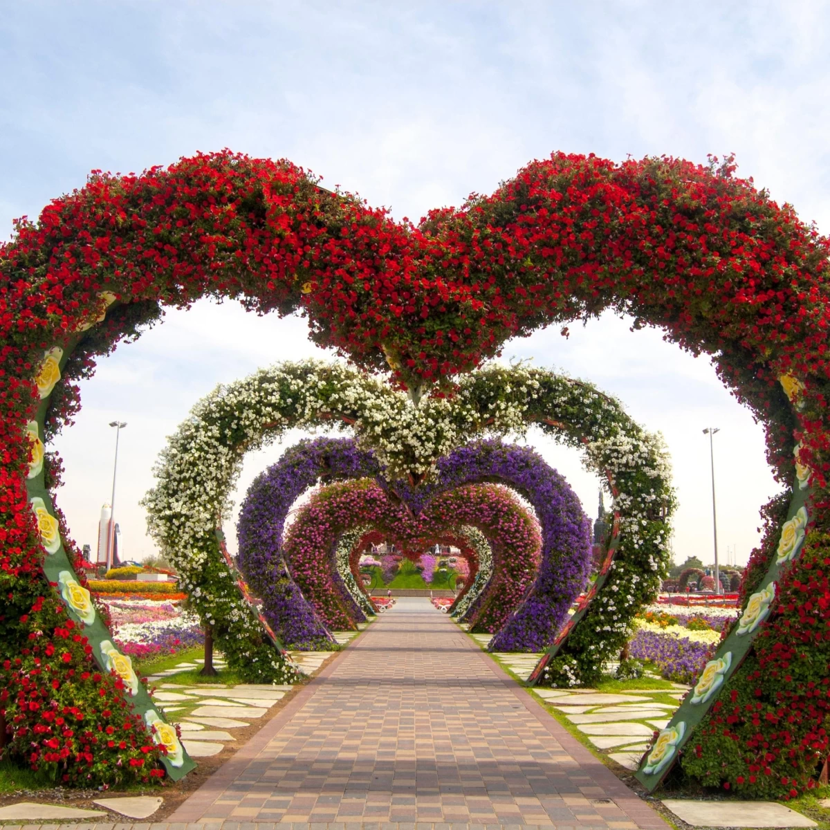 Dubai Garden Glow