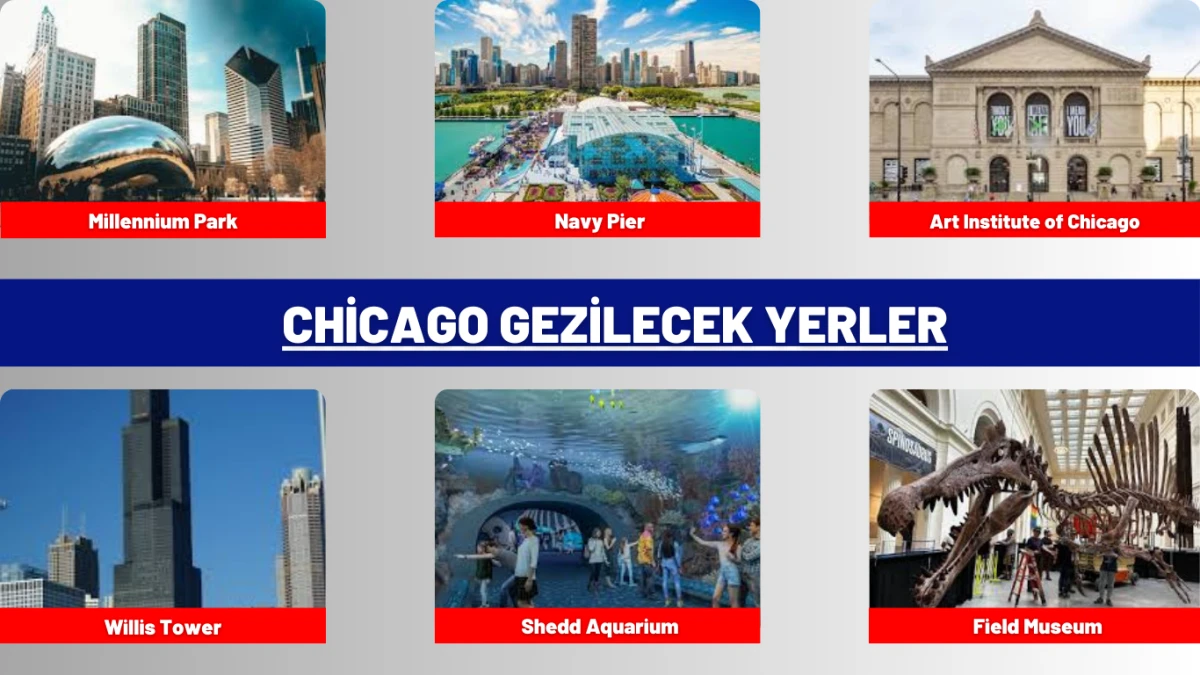 Chicago Gezilecek Yerler