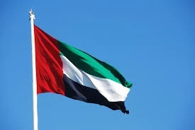Dubai Bayrağı