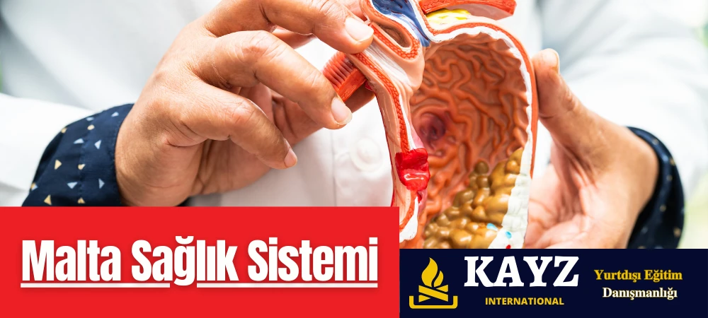 Malta sağlık sistemi hakkında bilgi veren bir görsel. Kamu hastaneleri, özel klinikler ve sağlık hizmetlerinin genel yapısı bu görselde özetlenmiştir. Malta'da yaşayanlar ve ziyaretçiler için sağlık hizmetlerine erişim rehberliği sunmaktadır.