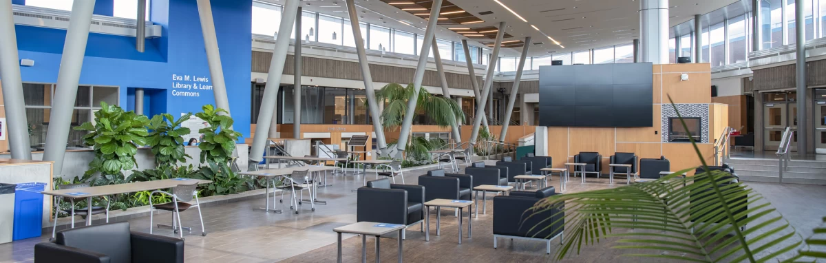Niagara College Kütüphanesi