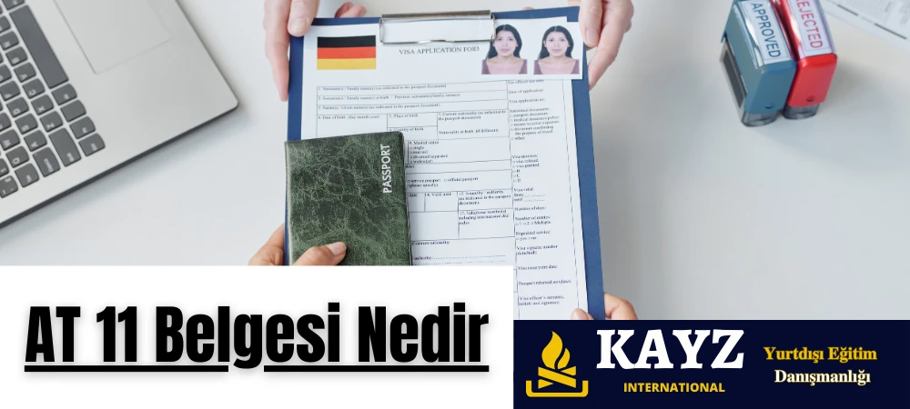 AT 11 Belgesi Nedir