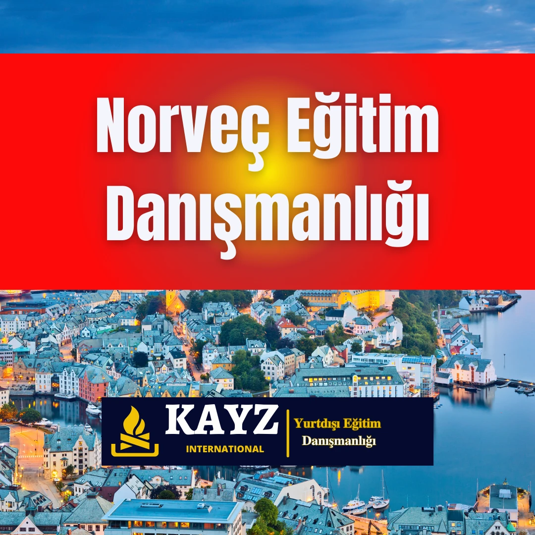 Norveç Eğitim Danışmanlığı