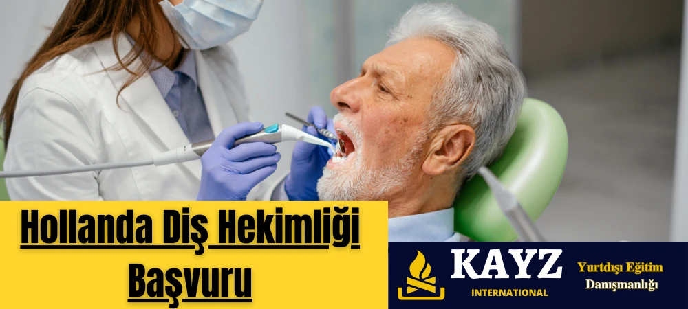 Hollanda Diş Hekimliği Başvuru