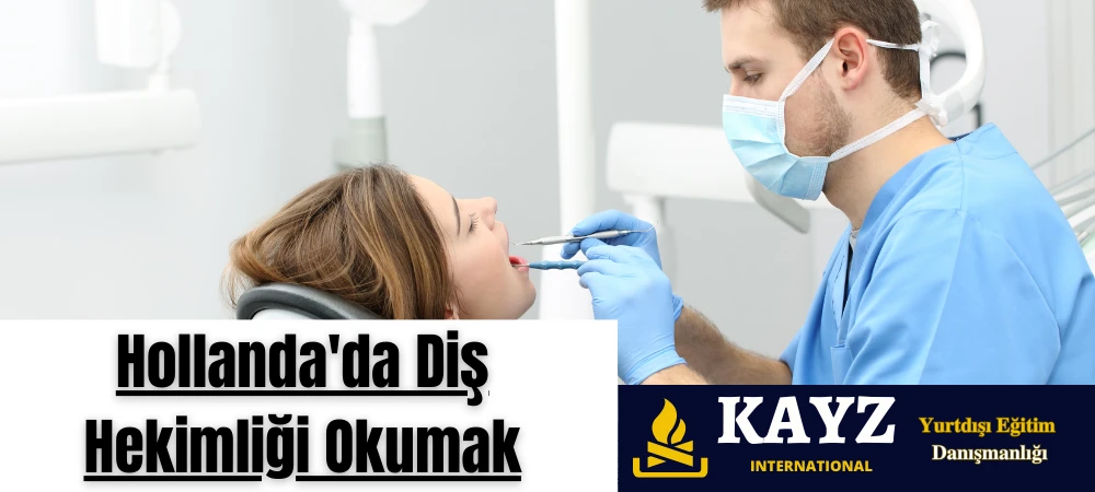 Hollanda’da Diş Hekimliği Okumak