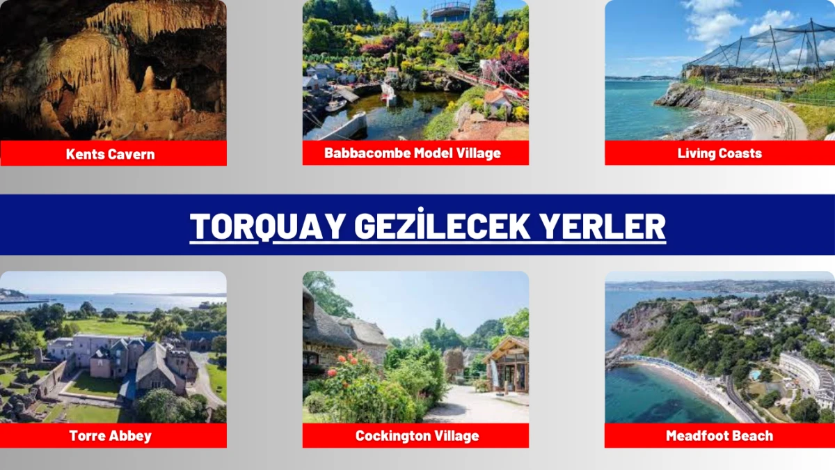 Torquay Gezilecek Yerler