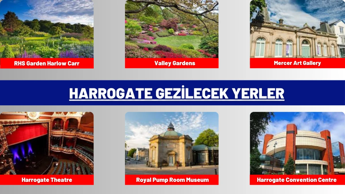 Harrogate Gezilecek Yerler