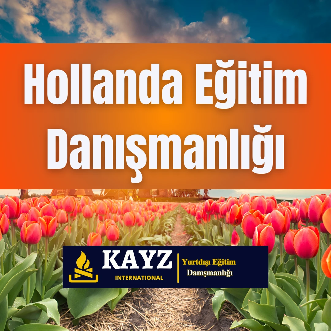 Hollanda Eğitim Danışmanlığı