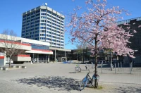 Göttingen Üniversitesi Kampüs Yaşamı.jpg