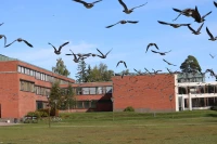 Aalto Üniversitesi Dış Görünümü.jpg