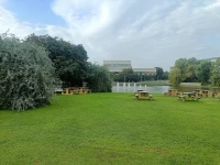 University College Dublin Bahçesi.jpg