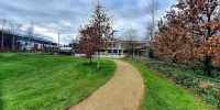 University College Dublin Ormanlık Alanları.jpg