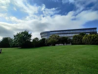 Surrey Üniversitesi Kampüs Yaşamı.jpg