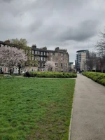 Edinburgh Üniversitesi Bahçesi.jpg