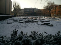 Queen Mary Londra Üniversitesi Bahçesi.jpg