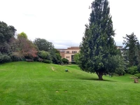 Bristol Üniversitesi Kampüs İçi.jpg