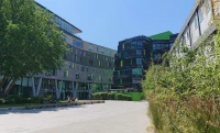 Queen Mary Londra Üniversitesi İçi.jpg