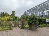 Leiden Üniversitesi Kampüs İçi.jpg