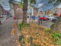 Webster Üniversitesi Leiden Bahçesi.jpg