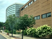 Webster Üniversitesi Dış Görüntüsü.jpg