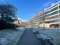 Leeds Üniversitesi Kampüs İçi.jpg