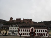 Heidelberg Üniversitesi Binası.jpg