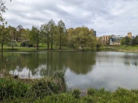 Surrey Üniversitesi Dış Görünümü.jpg