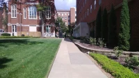 Webster Üniversitesi Bahçesi.jpg