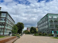 Manchester Üniversitesi Kampüs Yaşamı.jpg
