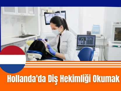 Hollanda'da Diş Hekimliği Okumak