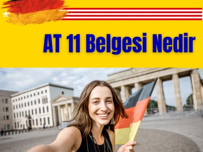 AT 11 Belgesi Nedir
