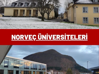 Norveç Üniversiteleri