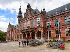 Groningen Üniversitesi