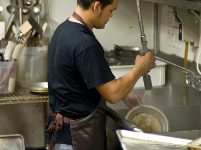 Work and Travel Dishwasher