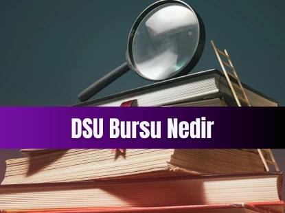 DSU Bursu Nedir