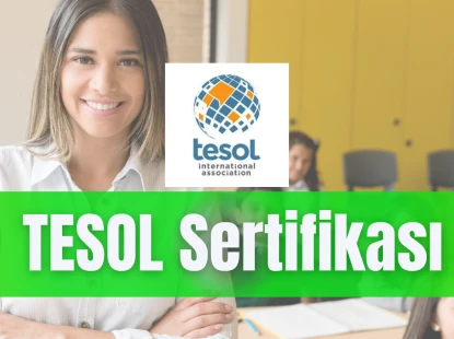 TESOL Sertifikası Nedir